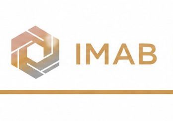 IMAB CONSULTORES IMAB1